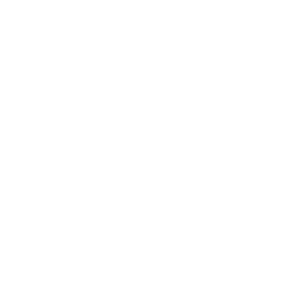 logo Peak Fifteen foundation